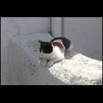 Cadaqu08.jpg