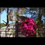 lipari08.jpg