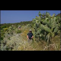 Panarea03.jpg