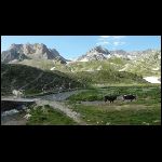 Jour3nevache02.jpg