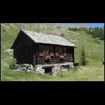 Jour5nevache11.jpg