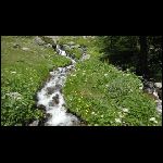 Jour5nevache13.jpg